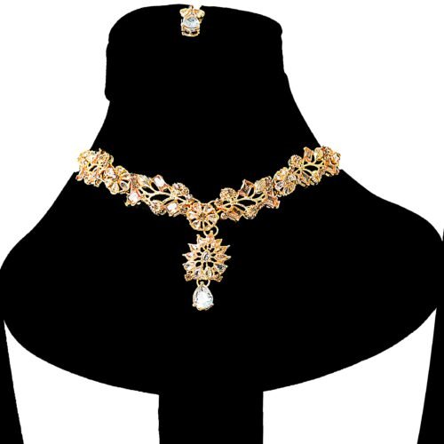 Trendy Allow Necklace Set